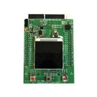 MSP430-4619LCD